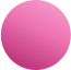 Sjokkrosa